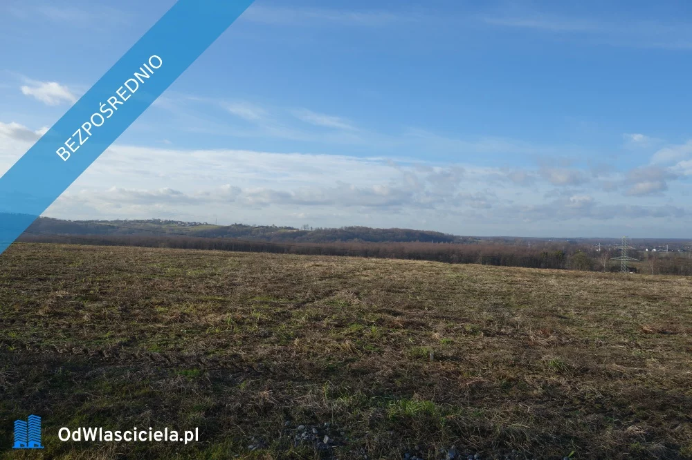 35231 - zdjęcie nr 4