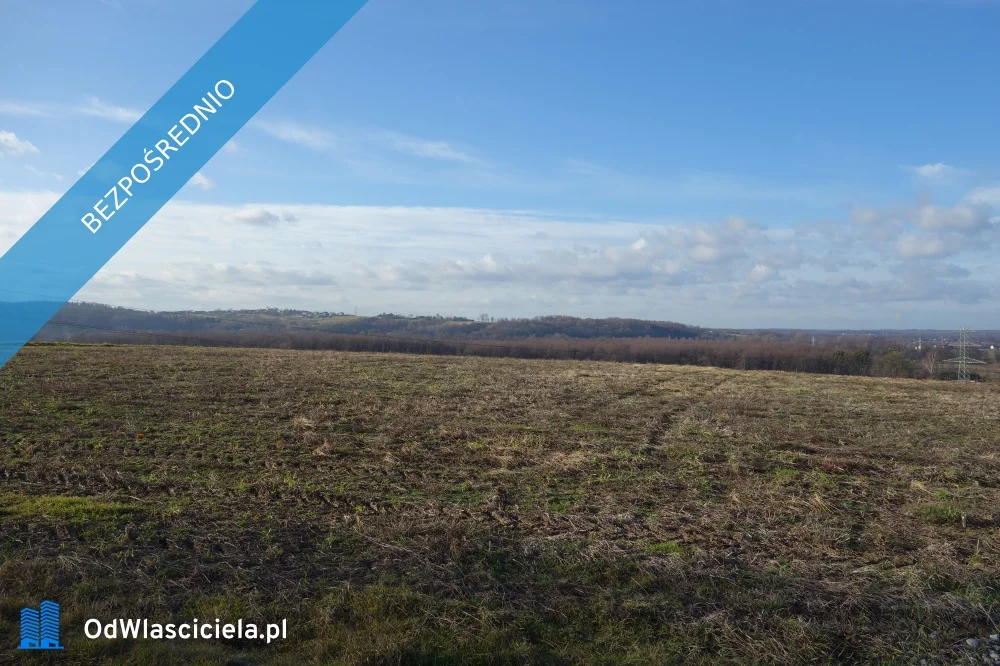 36463 - zdjęcie nr 3