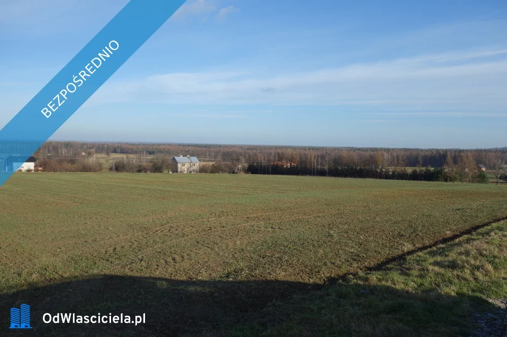 36463 - zdjęcie nr 4