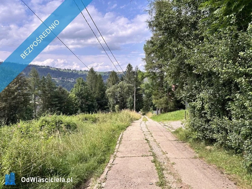 Działka 3 943,00 m², oferta nr , 36939, Zakopane, ul. Smrekowa