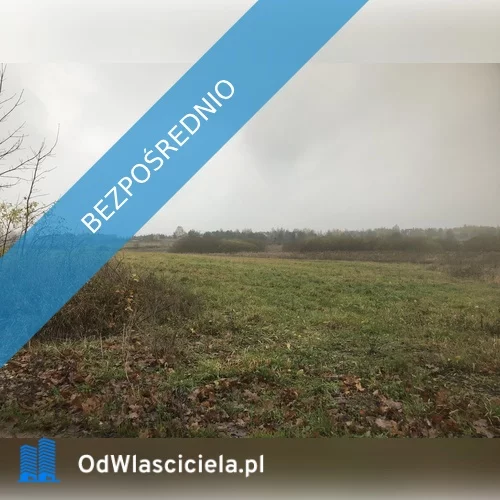 36322 - zdjęcie nr 1