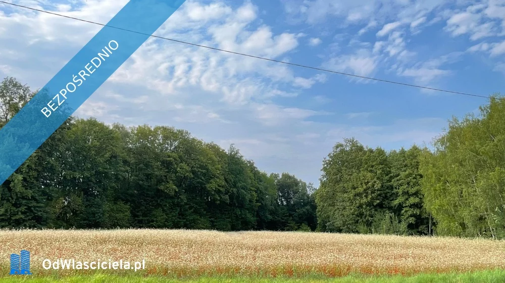Apartamenty 34691 Kozy Spółdzielcza