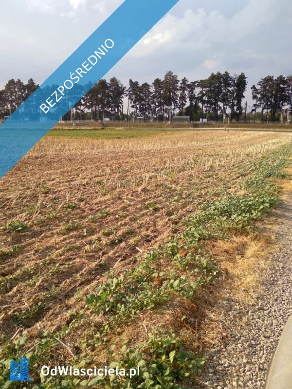 Apartamenty 37279 Stasin