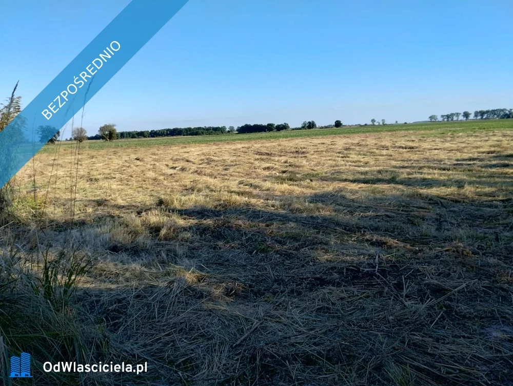 Działka 2 100,00 m², oferta nr , 37680, Szczedrzykowice