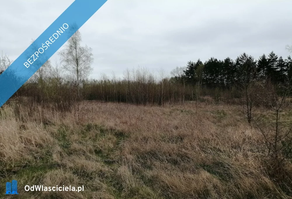 Działka 1 325,00 m², oferta nr , 30146, Szczutkowo