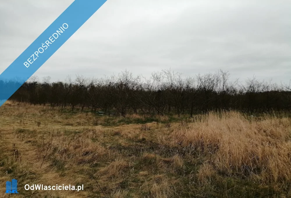 Działka 1 350,00 m², oferta nr , 30147, Szczutkowo