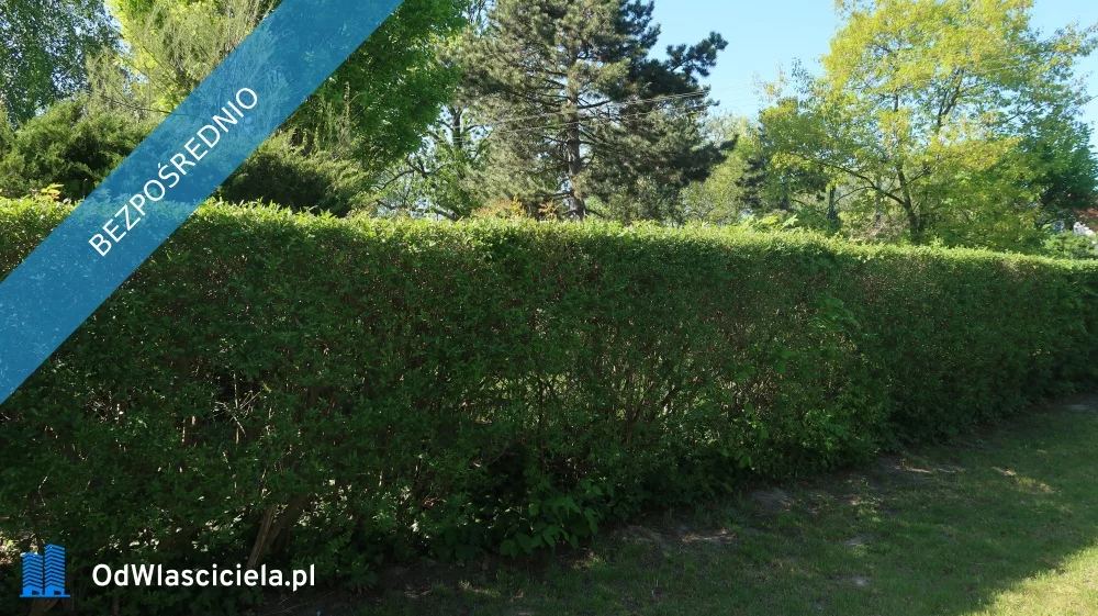 Działka 900,00 m², oferta nr , 34953, Domaniew, Warsa i Sawy