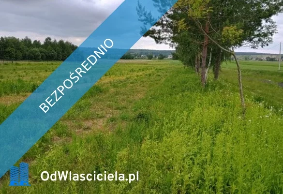 36002 - zdjęcie nr 3