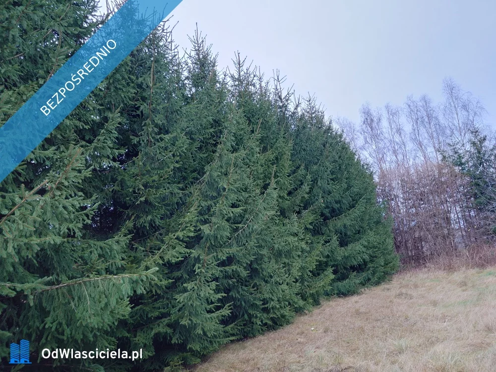 Działka 1 478,00 m², oferta nr , 32722, Wola Kamieńska