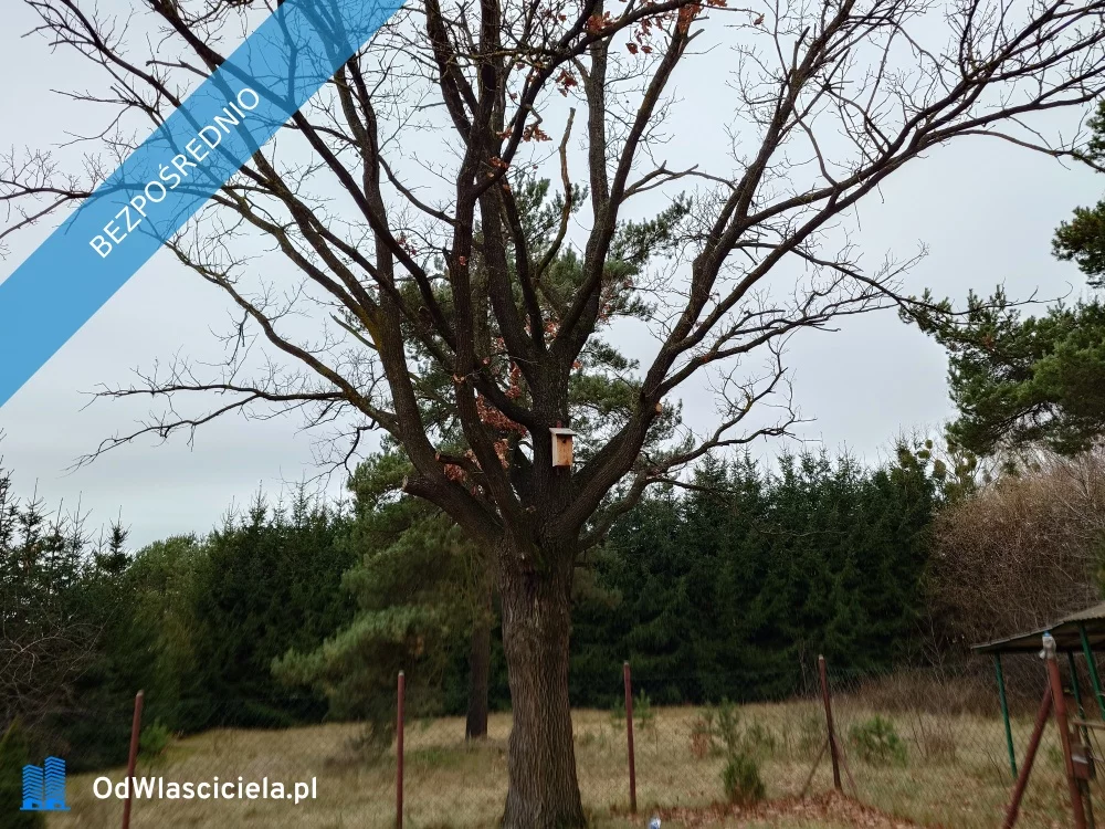 Działka 1 478,00 m², oferta nr , 32722, Wola Kamieńska