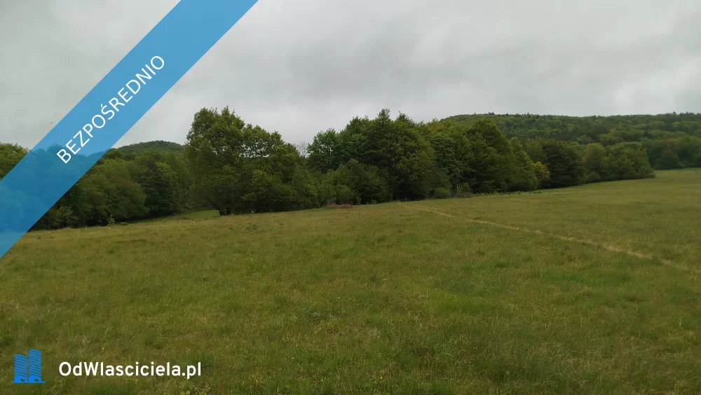 Działka 20 500,00 m², oferta nr , 36882, Wysowa-Zdrój