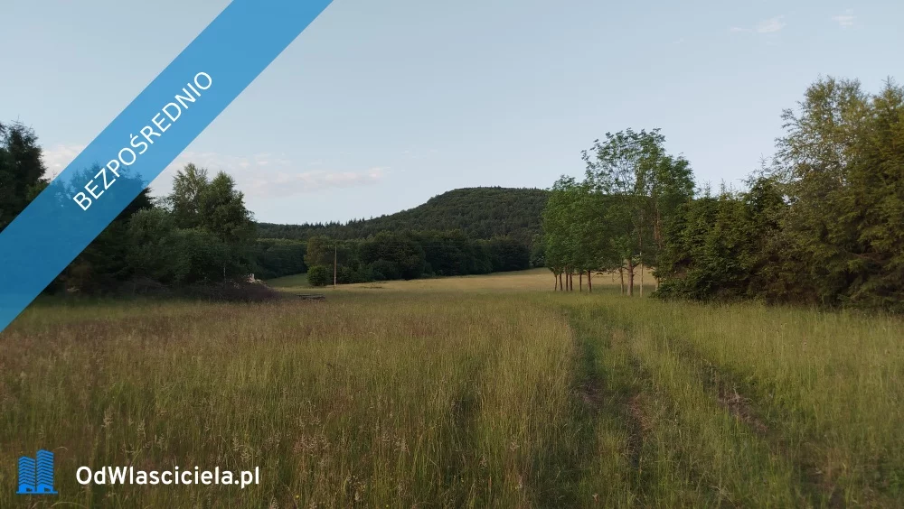 Działka 20 500,00 m², oferta nr , 36882, Wysowa-Zdrój