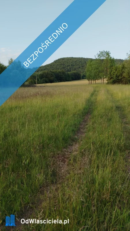 Działka 20 500,00 m², oferta nr , 36882, Wysowa-Zdrój