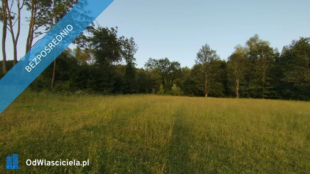 Działka 2 335,00 m², oferta nr , 36890, Wysowa-Zdrój