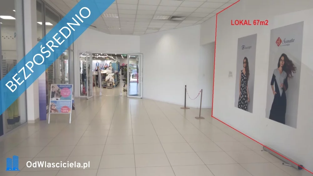 Lokal użytkowy 67,00 m², Sosnowiec, Blachnickiego 3, Wynajem