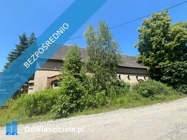 36041 - zdjęcie nr 2