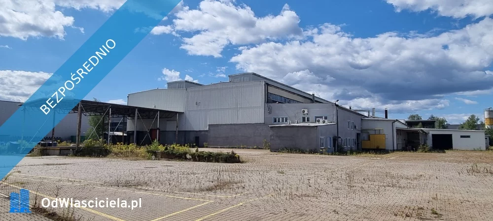 Obiekt 19 667,00 m², oferta nr , 37547, Tychy, ul. Murarska 5