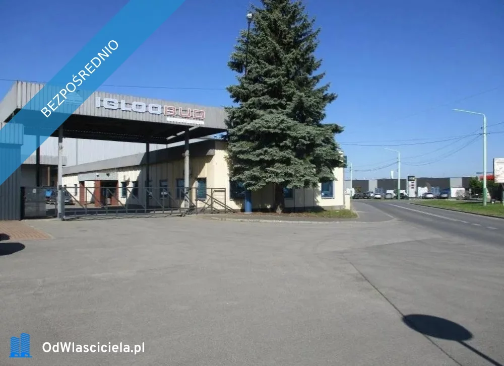 36615 - zdjęcie nr 0