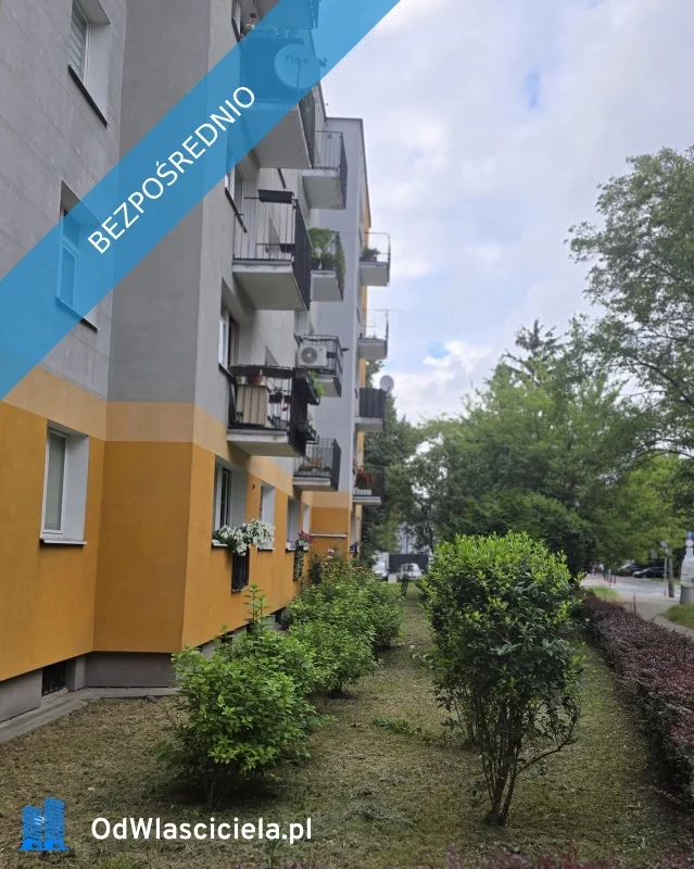 36488 - zdjęcie nr 3