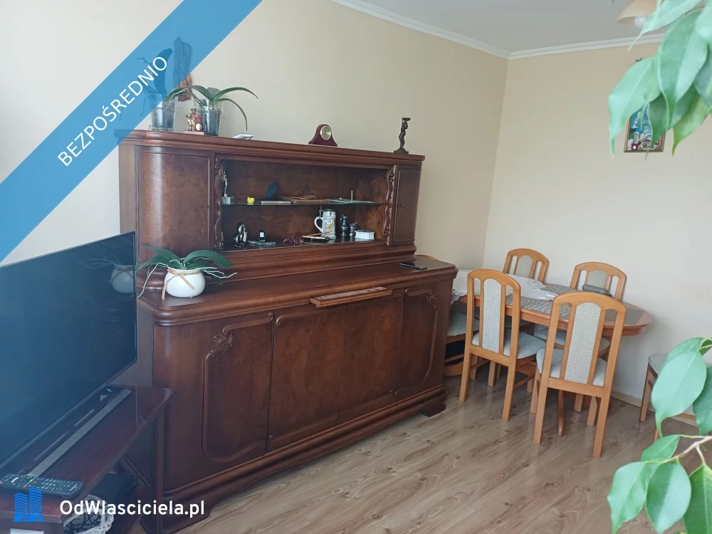 34679 - zdjęcie nr 2