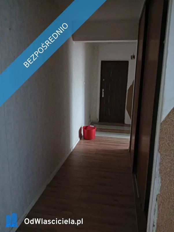 24295 - zdjęcie nr 3