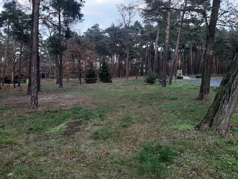 35314 - zdjęcie nr 1