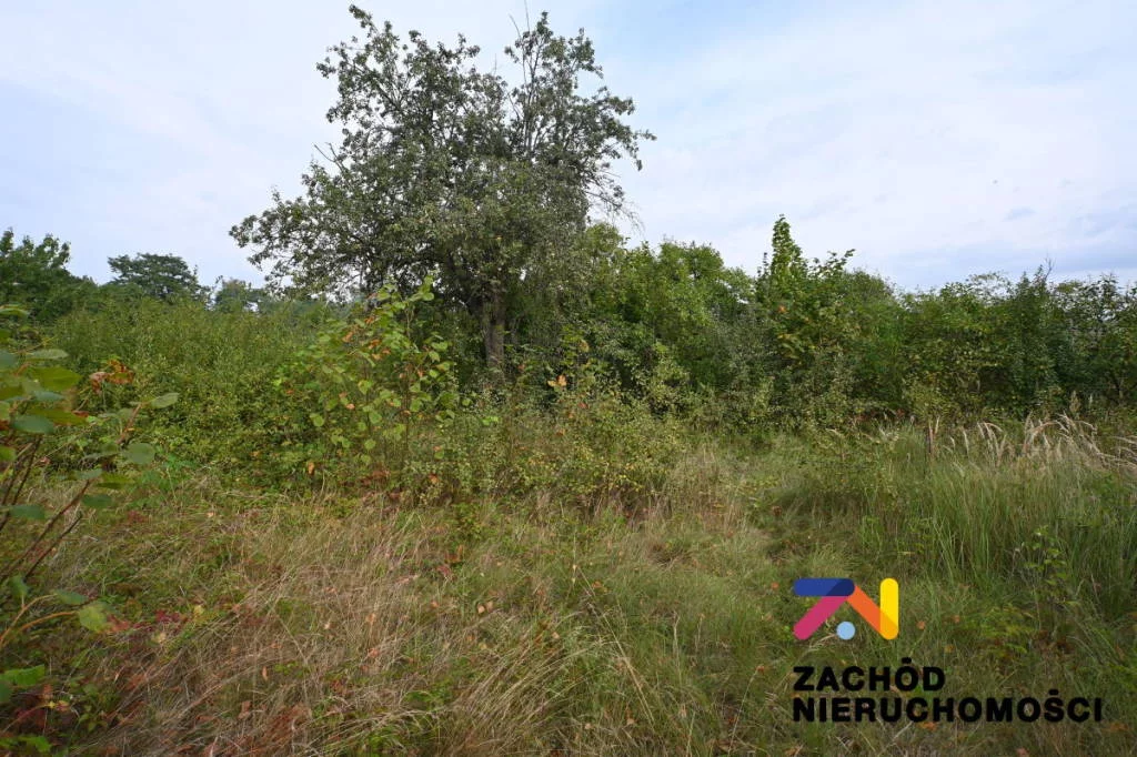 Dom 106,00 m², oferta nr , 163190227, Tuchola Żarska