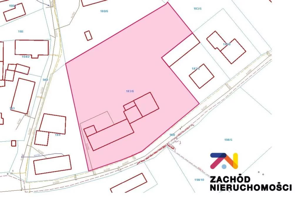 156290227 - zdjęcie nr 3