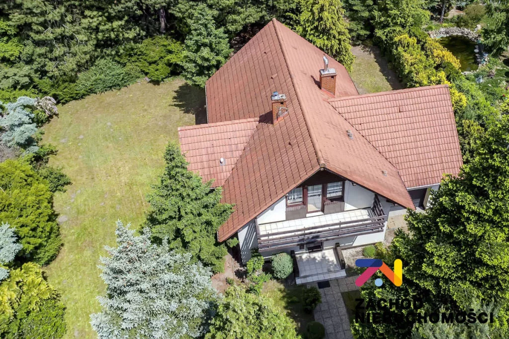 161460227 - zdjęcie nr 2