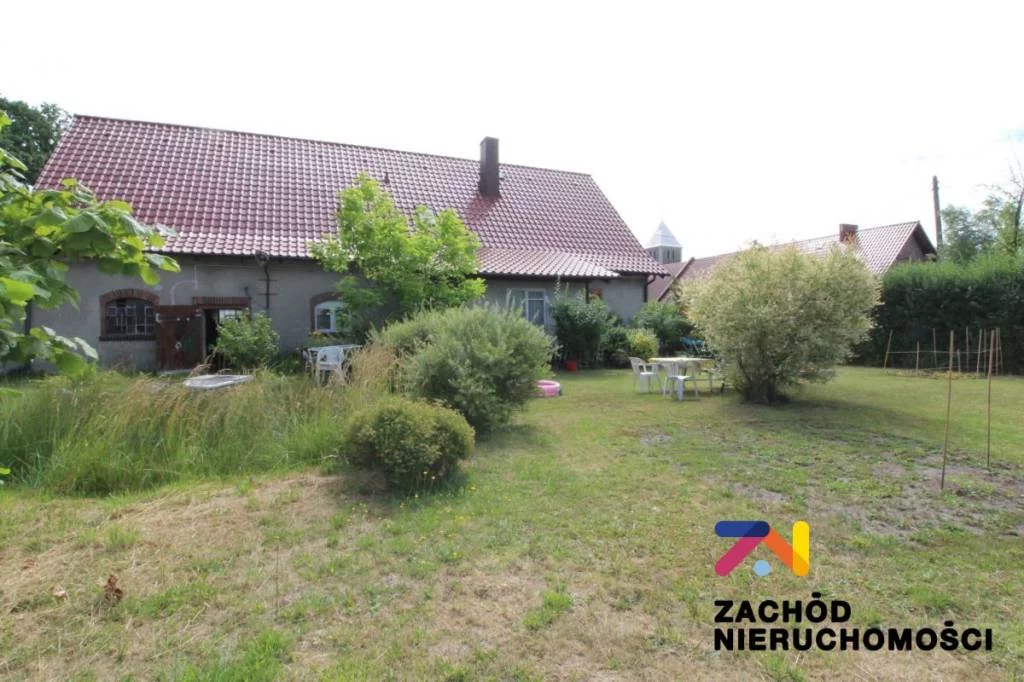 148170227 - zdjęcie nr 1
