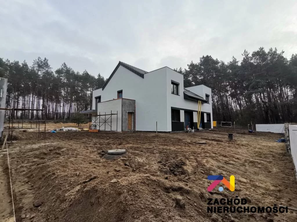146520227 - zdjęcie nr 3