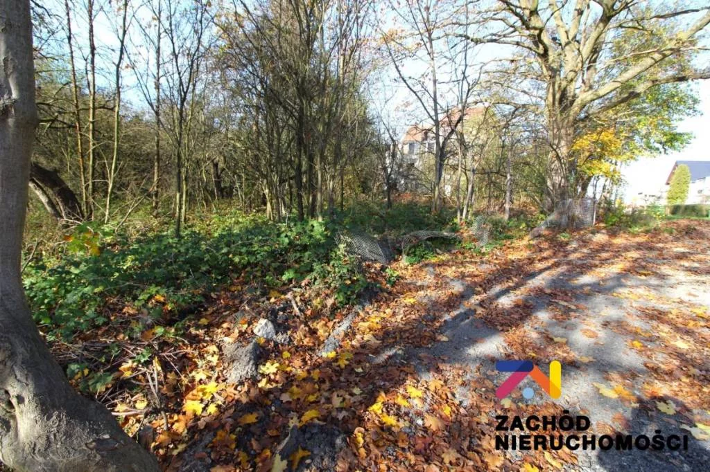 Dom 450,00 m², oferta nr , 154490227, Nowogród Bobrzański, Kościuszki