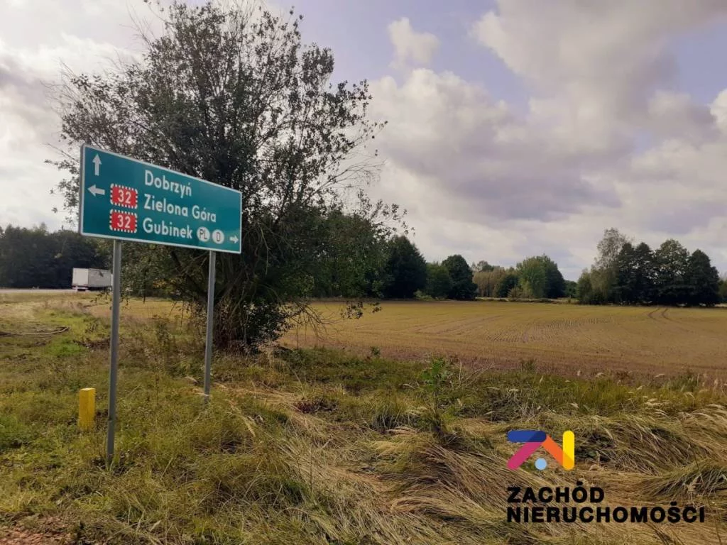 151980227 - zdjęcie nr 2