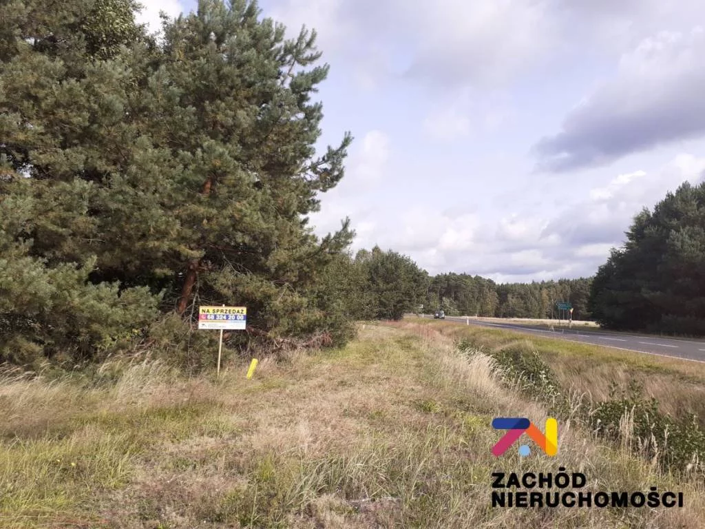151980227 - zdjęcie nr 4