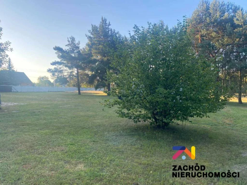 162860227 - zdjęcie nr 2