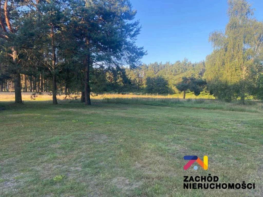 162860227 - zdjęcie nr 3
