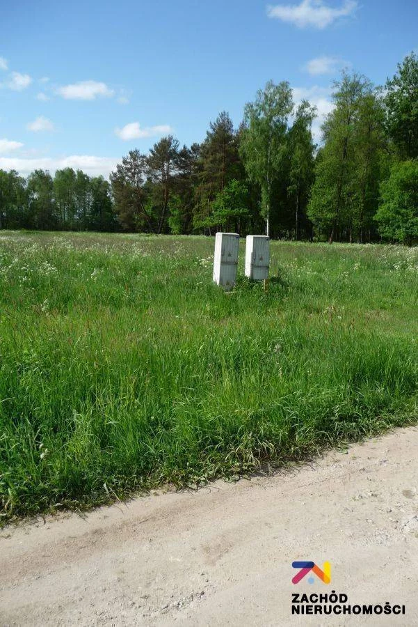 158320227 - zdjęcie nr 2