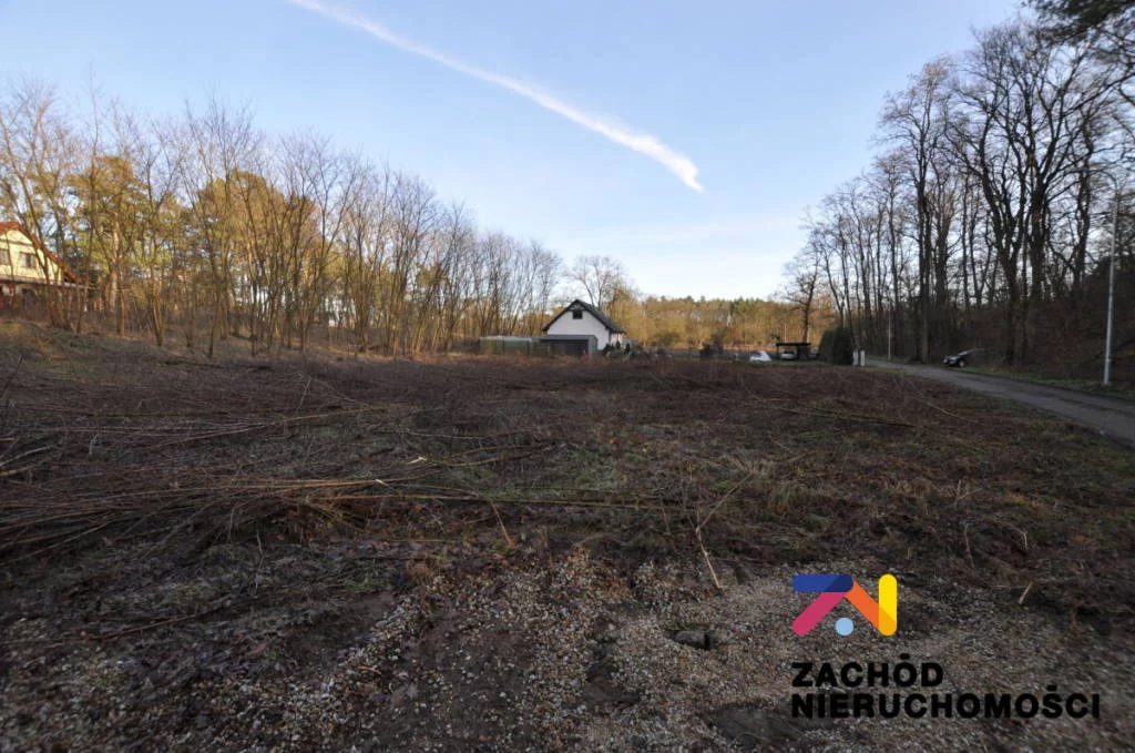 159960227 - zdjęcie nr 2