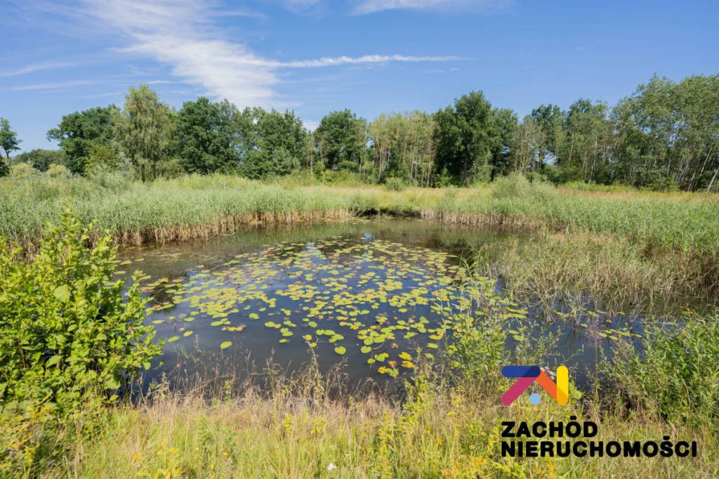 Działka 20 113,00 m², oferta nr , 147260227, Cigacice