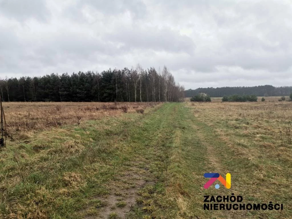 Działka 1 350,00 m², oferta nr , 154340227, Czarna