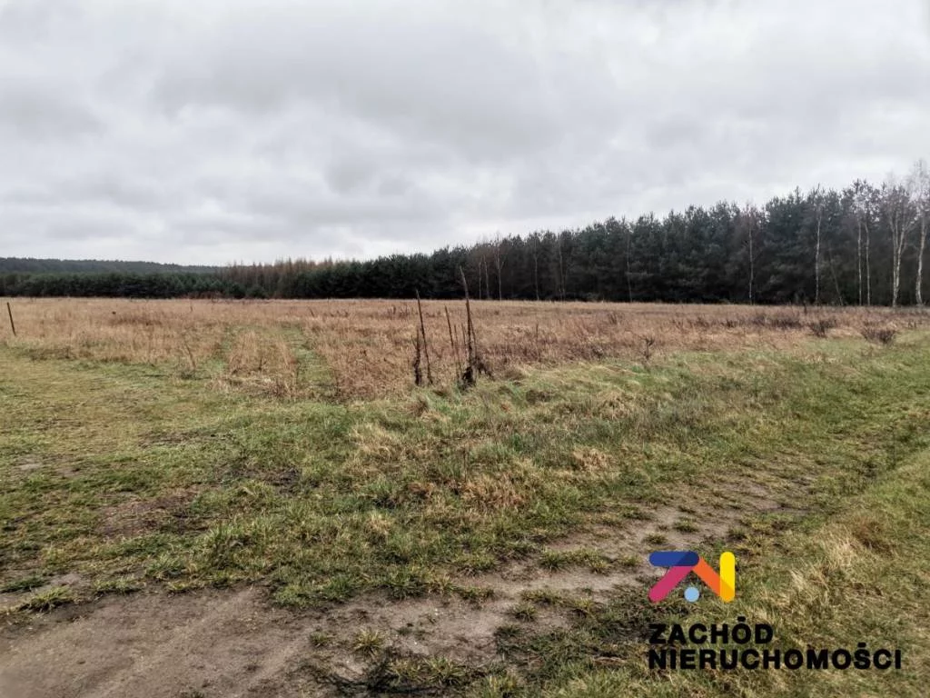 154340227 - zdjęcie nr 3