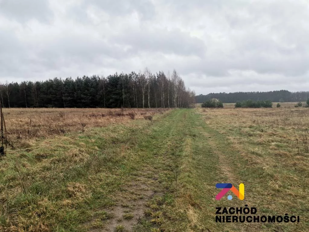 Działka 12 004,00 m², oferta nr , 154330227, Czarna