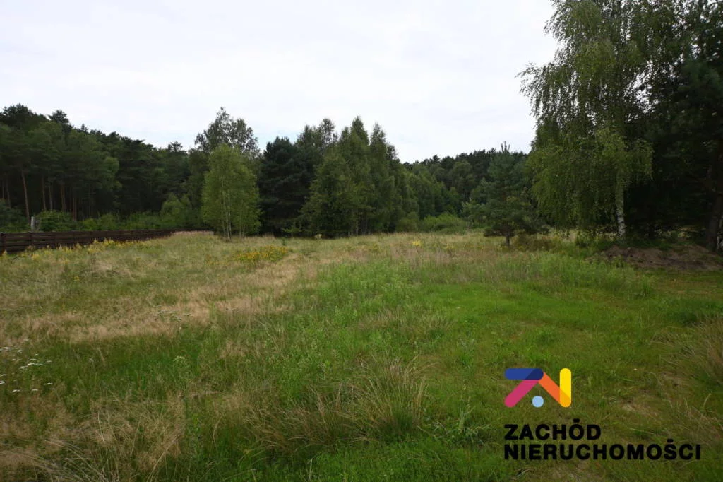 Apartamenty 162520227 Czarna