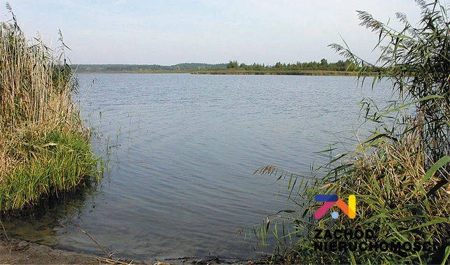 Apartamenty 158020227 Dąbrowa