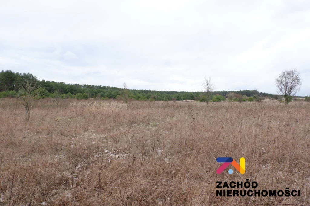 Apartamenty 141110227 Dąbrowa