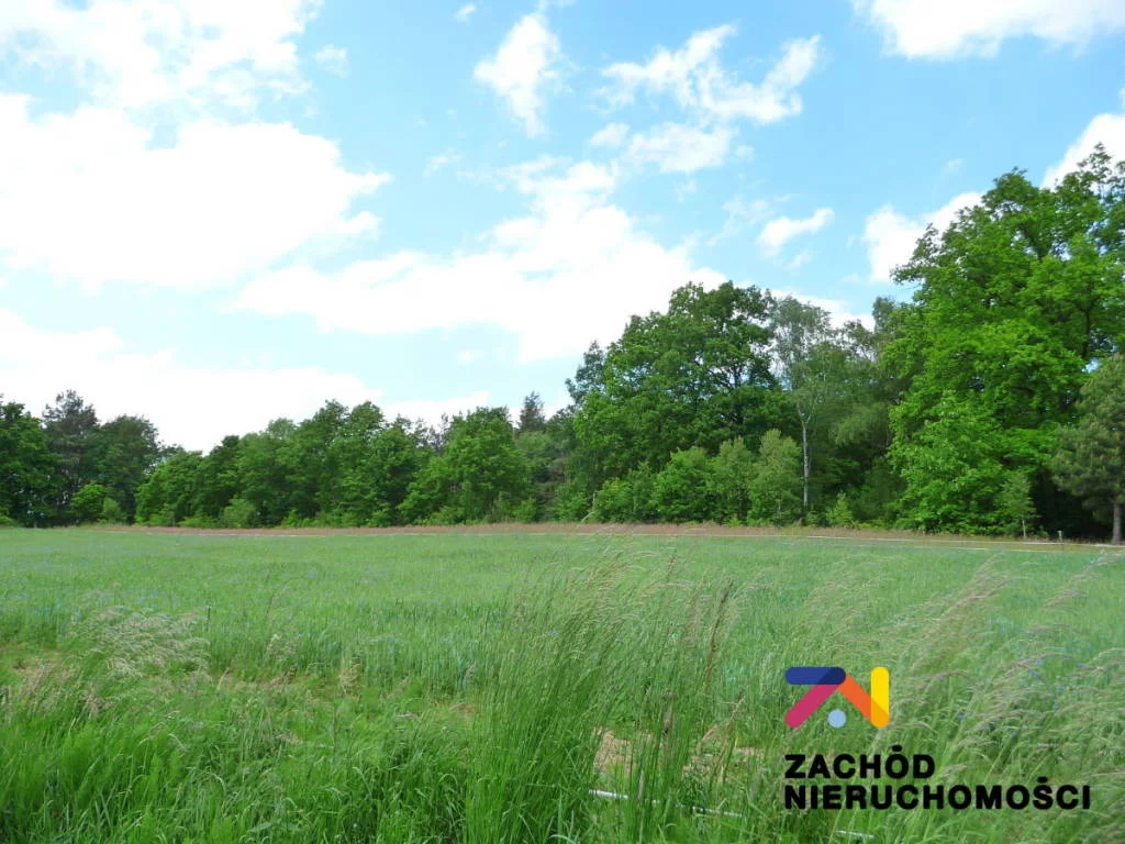 Apartamenty 153610227 Drągowina