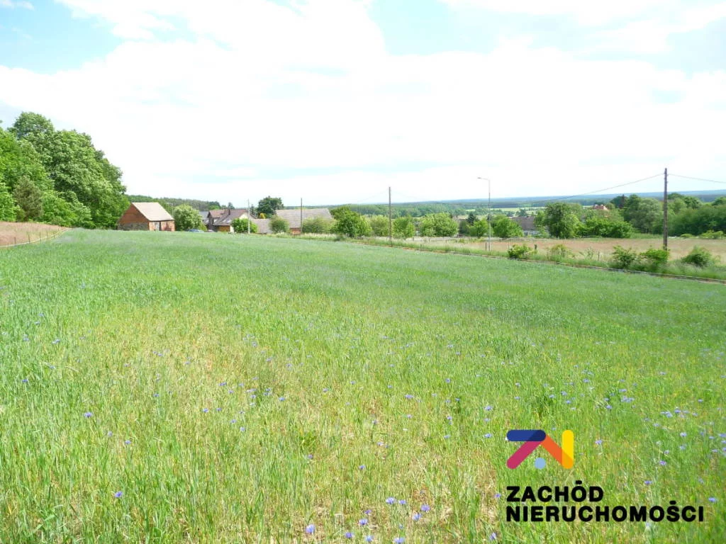 153610227 - zdjęcie nr 3