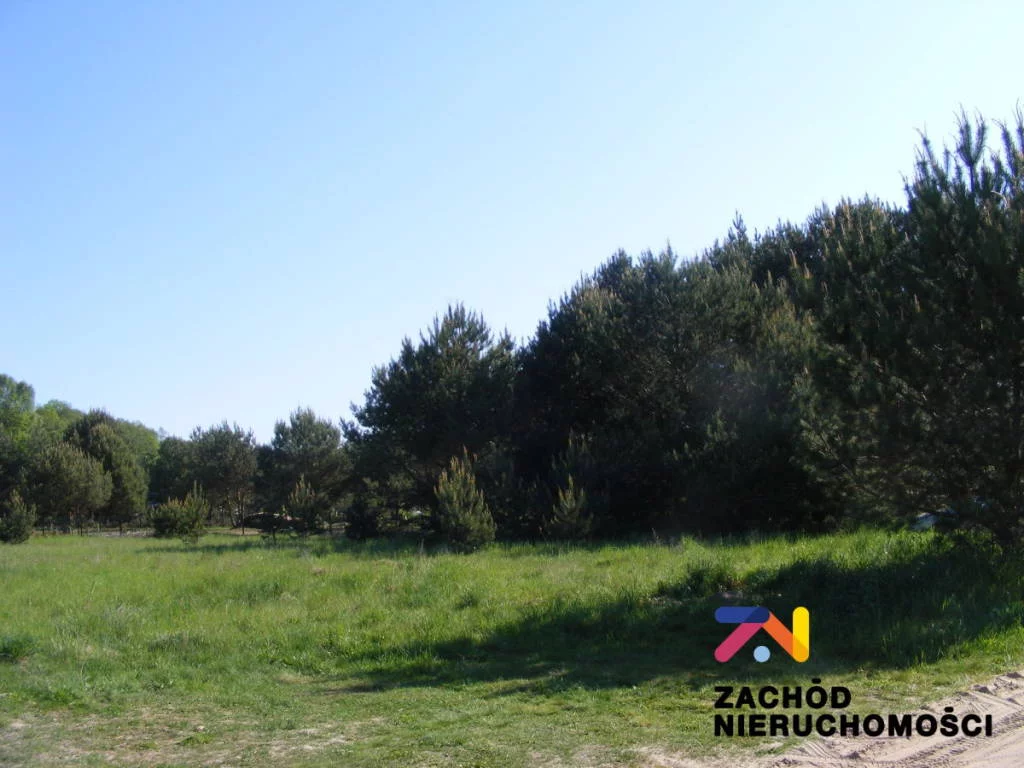 147390227 - zdjęcie nr 0