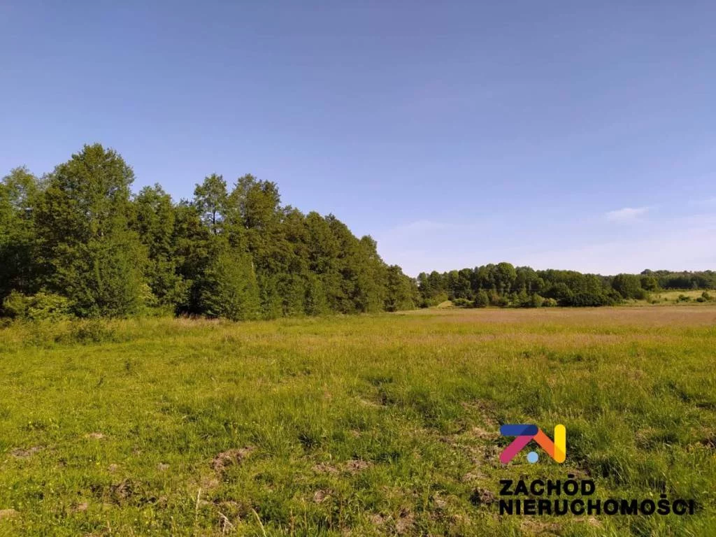 Apartamenty 133970227 Droszków