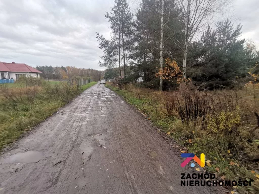152650227 - zdjęcie nr 0